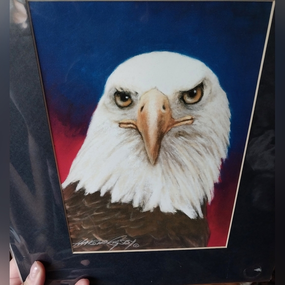 Bald Eagle print - Picture 10 of 15